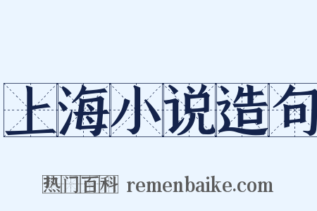 上海小说造句是什么意思的图片